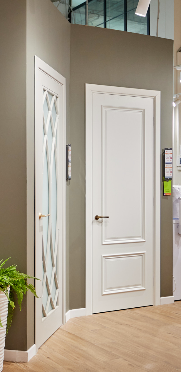 Почему стоит выбрать двери в эмали?